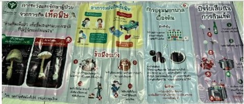 ไวนิล เห็ดพิษ