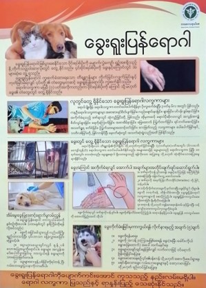 โรคพิษสุนัขบ้า ภาษาพม่า 01